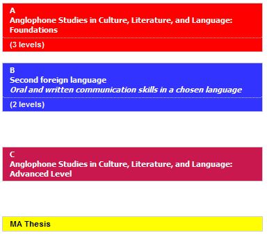 Depiction of module structure of the MA Intercultural Anglophone Studies